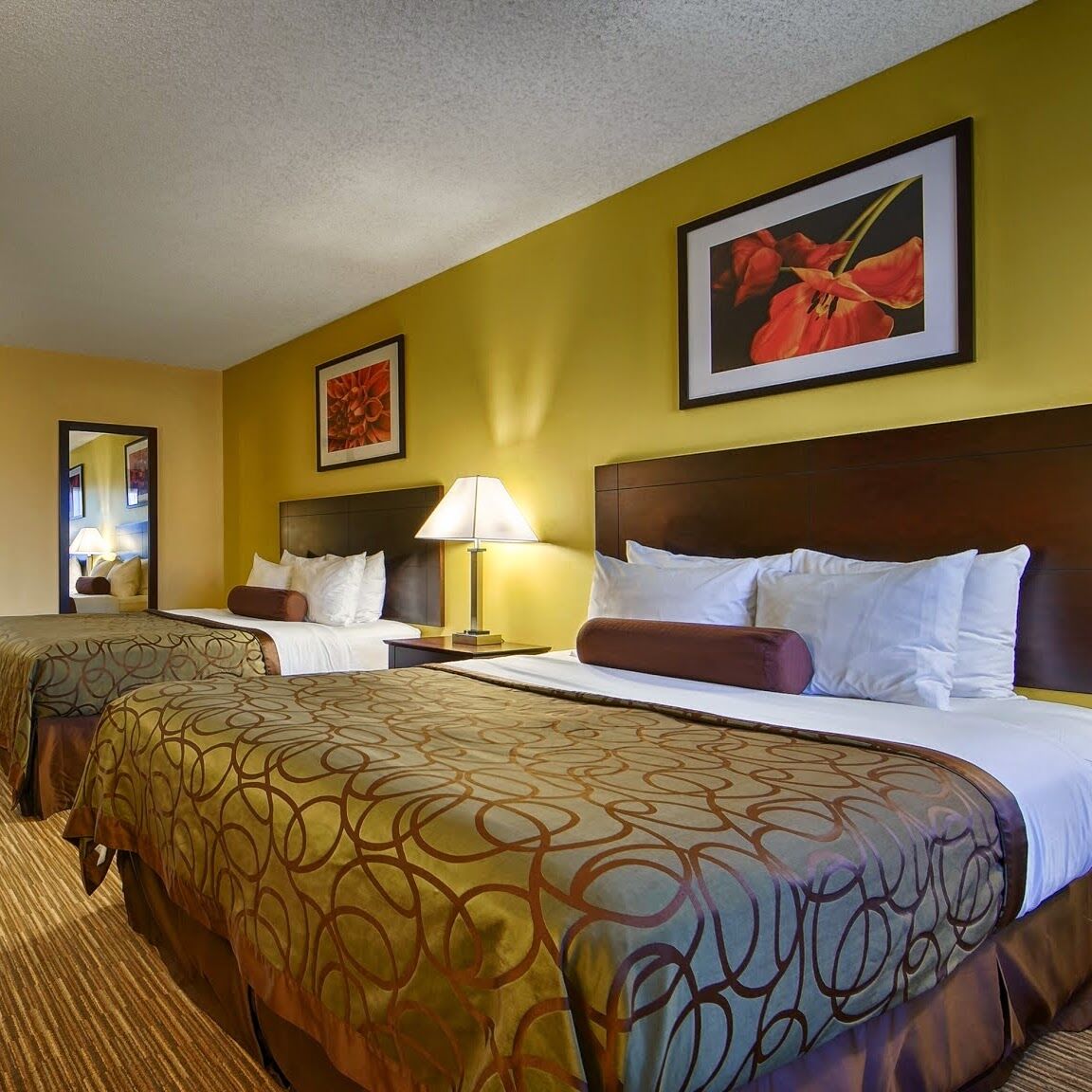 Days Inn By Wyndham Round Rock Buitenkant foto